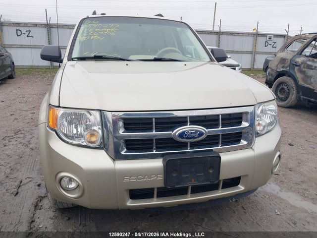 2011 Ford Escape Xlt Automatic მანქანა იყიდება აუქციონზე, vin: 1FMCU0DG3BKC67306, აუქციონის ნომერი: 12590247