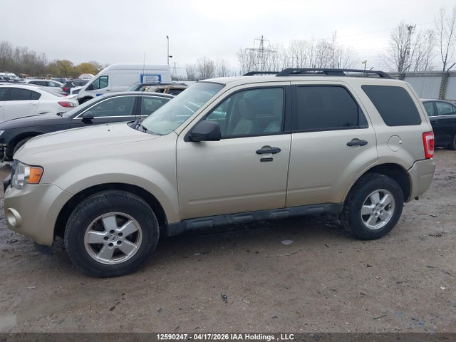 2011 Ford Escape Xlt Automatic მანქანა იყიდება აუქციონზე, vin: 1FMCU0DG3BKC67306, აუქციონის ნომერი: 12590247