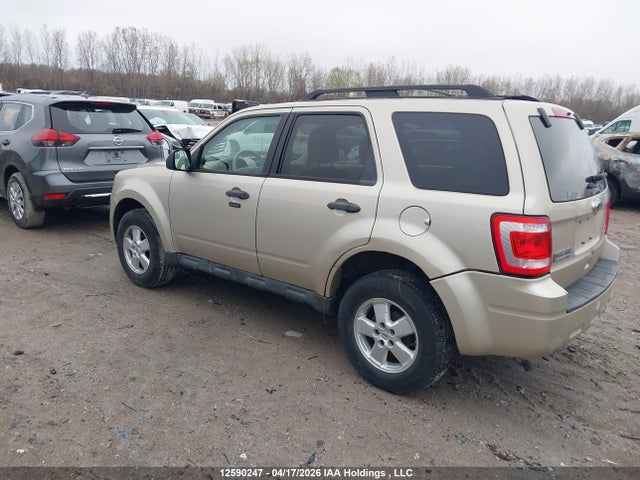 2011 Ford Escape Xlt Automatic მანქანა იყიდება აუქციონზე, vin: 1FMCU0DG3BKC67306, აუქციონის ნომერი: 12590247