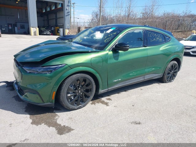 Продажа на аукционе авто 2025 Ford Mustang Mach-e Premium, vin: 3FMTK3S53SMA39498, номер лота: 12590261