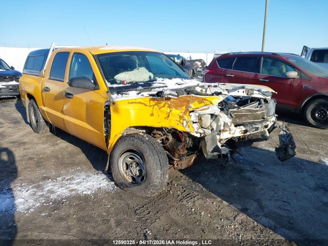 12590325 :رقم المزاد ، 1D3HW28K88S585193 vin ، 2008 Dodge Dakota Quad/st مزاد بيع