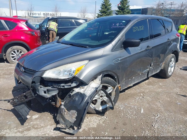 Aukcja sprzedaży 2014 Ford Escape S, vin: 1FMCU0F76EUC11947, numer aukcji: 12590358