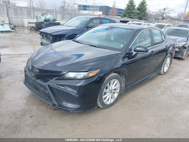 2024 Toyota Camry Se Night Shade/se მანქანა იყიდება აუქციონზე, vin: 4T1G11AK2RU253775, აუქციონის ნომერი: 12590384