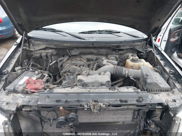 Продаж на аукціоні авто 2013 Ford F150, vin: 1FTMF1CM0DFB24521, номер лоту: 12590422