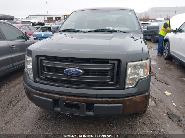 Продаж на аукціоні авто 2013 Ford F150, vin: 1FTMF1CM0DFB24521, номер лоту: 12590422
