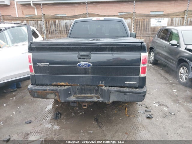 Продаж на аукціоні авто 2013 Ford F150, vin: 1FTMF1CM0DFB24521, номер лоту: 12590422