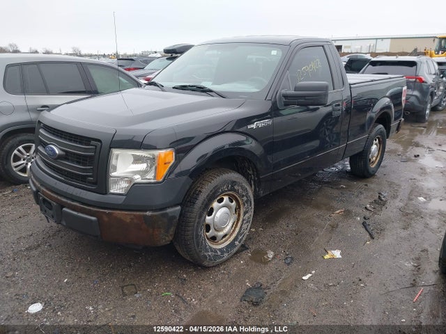 Продаж на аукціоні авто 2013 Ford F150, vin: 1FTMF1CM0DFB24521, номер лоту: 12590422