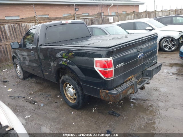 Продаж на аукціоні авто 2013 Ford F150, vin: 1FTMF1CM0DFB24521, номер лоту: 12590422