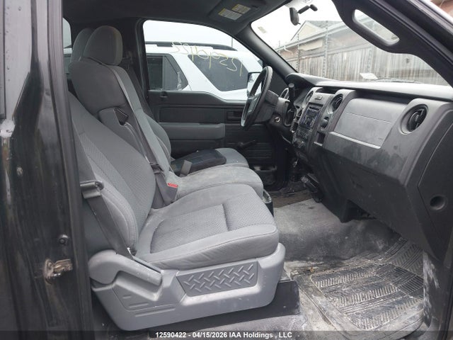 Продаж на аукціоні авто 2013 Ford F150, vin: 1FTMF1CM0DFB24521, номер лоту: 12590422