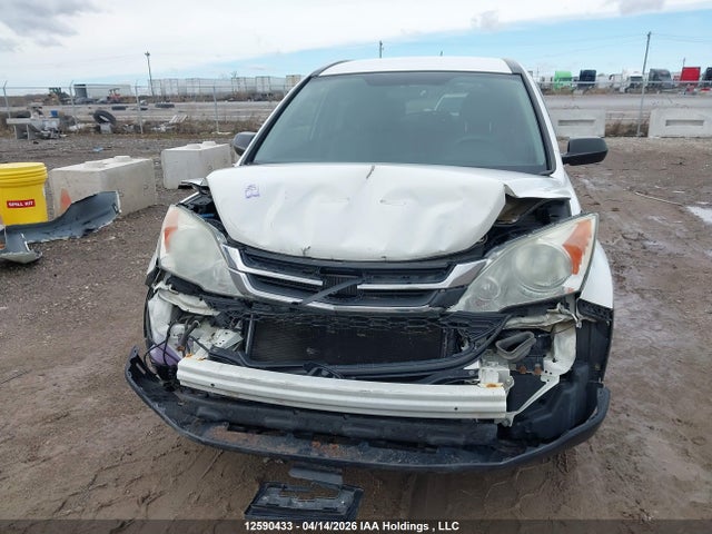 Продажа на аукционе авто 2010 Honda Cr-v Lx, vin: 5J6RE3H38AL801584, номер лота: 12590433