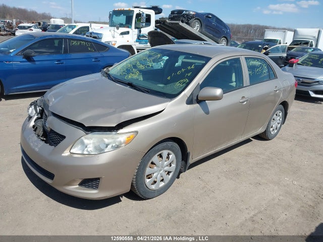 2009 Toyota Corolla მანქანა იყიდება აუქციონზე, vin: 2T1BU40E49C103201, აუქციონის ნომერი: 12590558