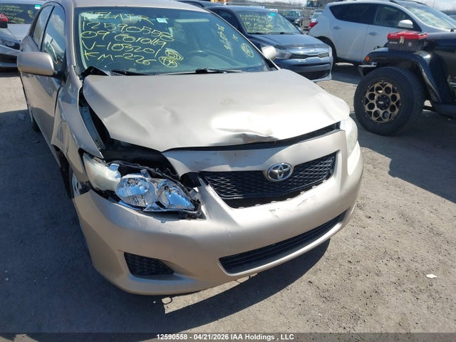 2009 Toyota Corolla მანქანა იყიდება აუქციონზე, vin: 2T1BU40E49C103201, აუქციონის ნომერი: 12590558