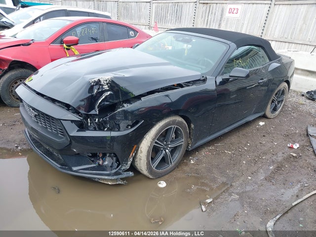 2025 Ford Mustang მანქანა იყიდება აუქციონზე, vin: 1FAGP8UH5S5116346, აუქციონის ნომერი: 12590611