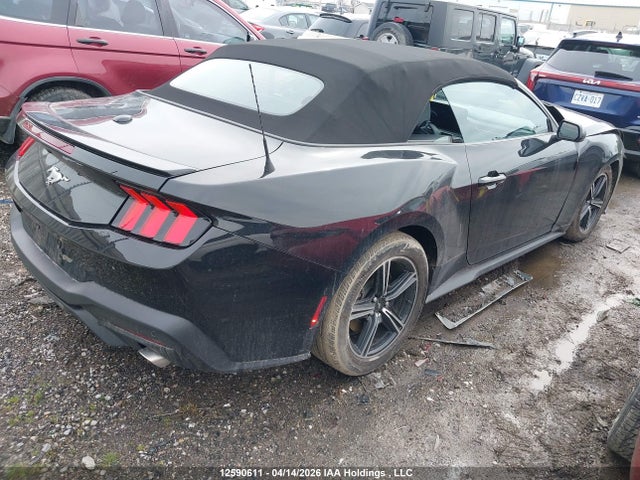 2025 Ford Mustang მანქანა იყიდება აუქციონზე, vin: 1FAGP8UH5S5116346, აუქციონის ნომერი: 12590611
