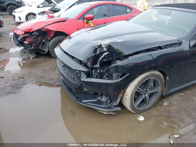 2025 Ford Mustang მანქანა იყიდება აუქციონზე, vin: 1FAGP8UH5S5116346, აუქციონის ნომერი: 12590611