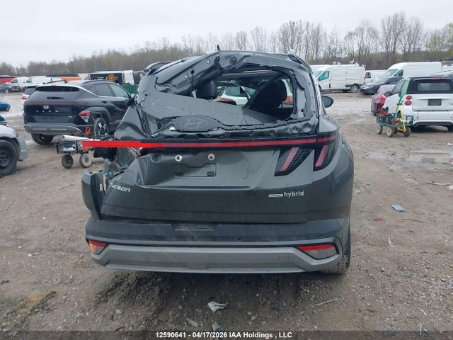 Продаж на аукціоні авто 2025 Hyundai Tucson Ultimate Hybrid Awd, vin: KM8JCDD12SU354440, номер лоту: 12590641