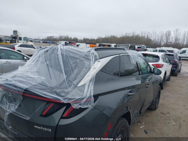 Продаж на аукціоні авто 2025 Hyundai Tucson Ultimate Hybrid Awd, vin: KM8JCDD12SU354440, номер лоту: 12590641