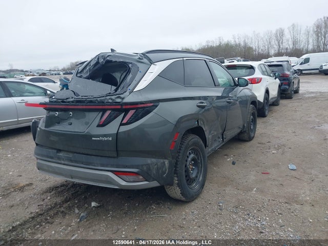 Продаж на аукціоні авто 2025 Hyundai Tucson Ultimate Hybrid Awd, vin: KM8JCDD12SU354440, номер лоту: 12590641