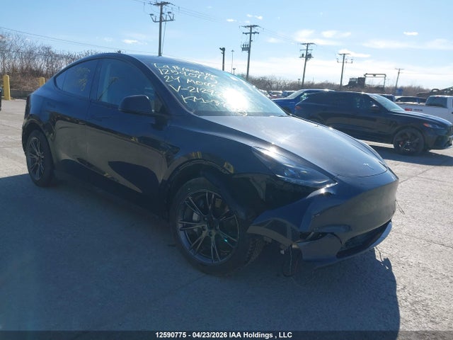 Aukcja sprzedaży 2024 Tesla Model Y, vin: 7SAYGDEE4RF212928, numer aukcji: 12590775