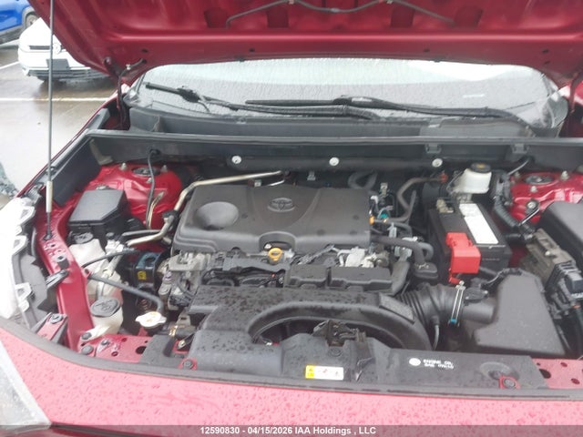 2019 Toyota Rav4 Le მანქანა იყიდება აუქციონზე, vin: 2T3B1RFV2KW080901, აუქციონის ნომერი: 12590830
