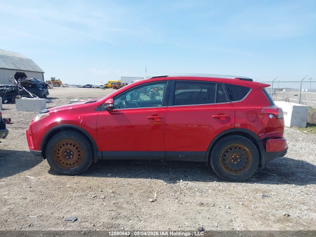 2016 Toyota Rav4 Xle მანქანა იყიდება აუქციონზე, vin: 2T3WFREV1GW260494, აუქციონის ნომერი: 12590843
