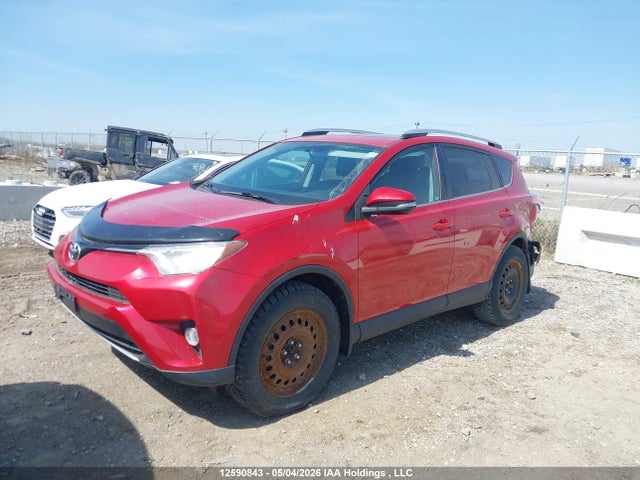 2016 Toyota Rav4 Xle მანქანა იყიდება აუქციონზე, vin: 2T3WFREV1GW260494, აუქციონის ნომერი: 12590843