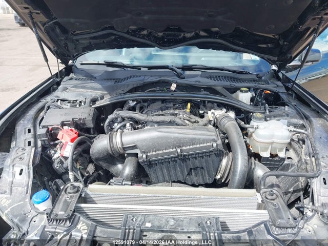 1FAGP8UH8S5117376 Ford Mustang
