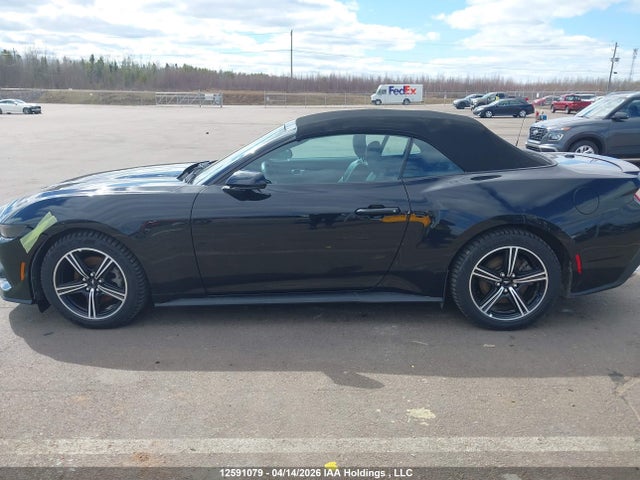 1FAGP8UH8S5117376 Ford Mustang