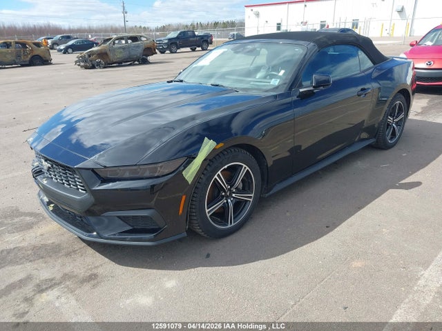 1FAGP8UH8S5117376 Ford Mustang