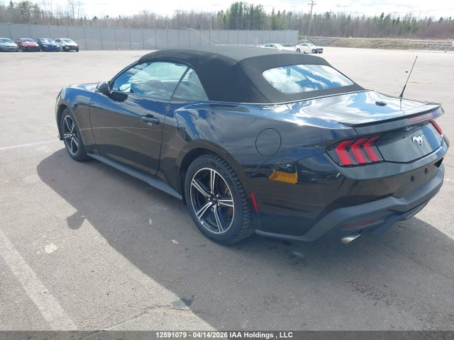 1FAGP8UH8S5117376 Ford Mustang
