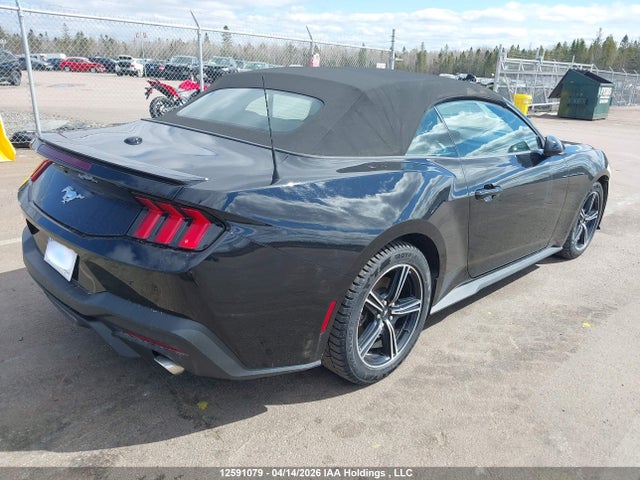 1FAGP8UH8S5117376 Ford Mustang