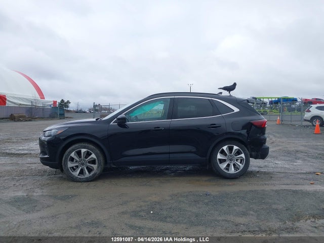 Продажа на аукционе авто 2025 Ford Escape Platinum, vin: 1FMCU9JA6SUB30305, номер лота: 12591087