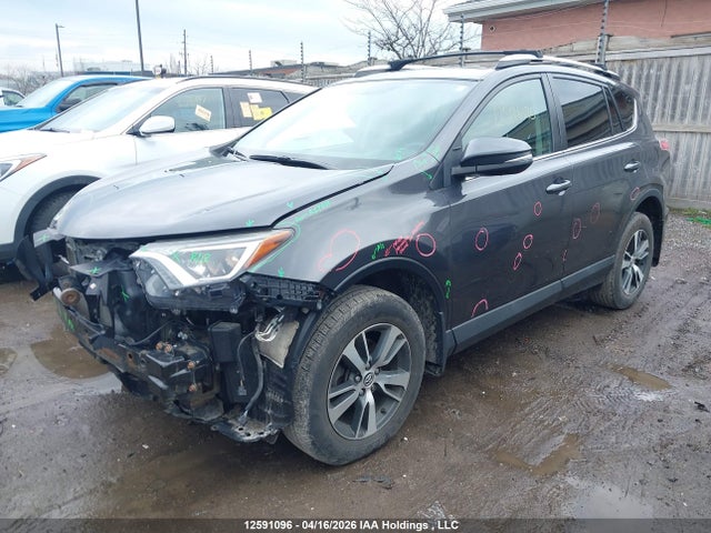 2016 Toyota Rav4 Xle მანქანა იყიდება აუქციონზე, vin: 2T3RFREV9GW467079, აუქციონის ნომერი: 12591096