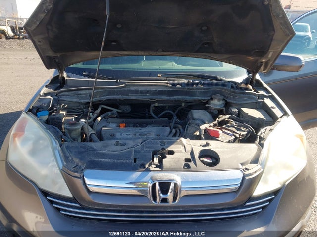 Aukcja sprzedaży 2009 Honda Cr-v Exl, vin: 5J6RE487X9L804961, numer aukcji: 12591123