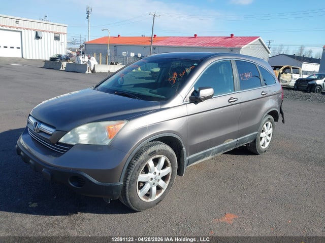 Aukcja sprzedaży 2009 Honda Cr-v Exl, vin: 5J6RE487X9L804961, numer aukcji: 12591123