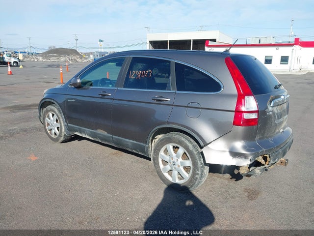 Aukcja sprzedaży 2009 Honda Cr-v Exl, vin: 5J6RE487X9L804961, numer aukcji: 12591123
