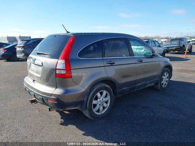 Aukcja sprzedaży 2009 Honda Cr-v Exl, vin: 5J6RE487X9L804961, numer aukcji: 12591123