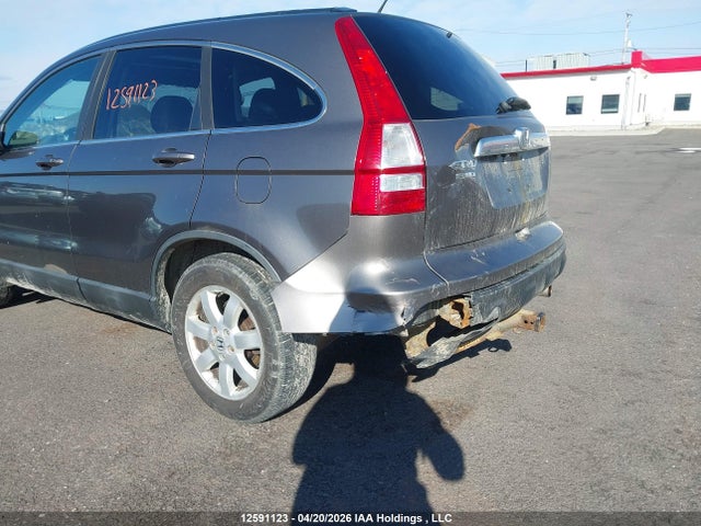 Aukcja sprzedaży 2009 Honda Cr-v Exl, vin: 5J6RE487X9L804961, numer aukcji: 12591123