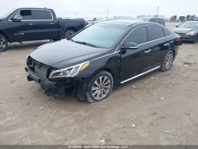 5NPE34AF0GH384849 Hyundai Sonata Sport Tech