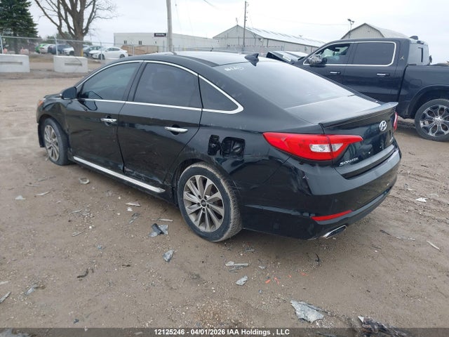 5NPE34AF0GH384849 Hyundai Sonata Sport Tech