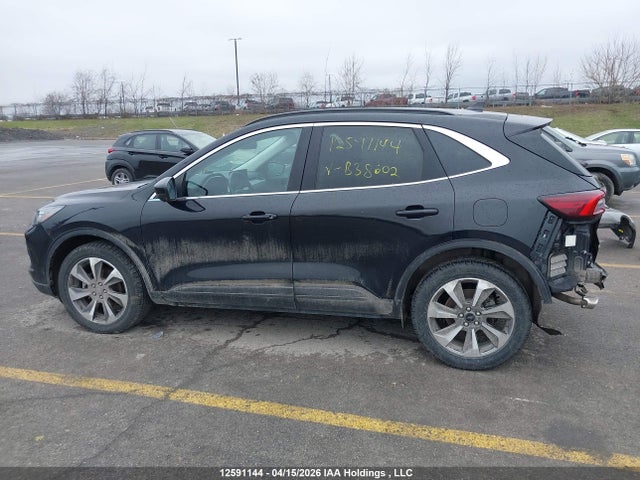 12591144 :رقم المزاد ، 1FMCU9JA5RUB38602 vin ، 2024 Ford Escape Platinum مزاد بيع