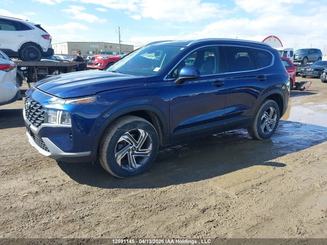 Продажа на аукционе авто 2021 Hyundai Santa Fe Sel, vin: 5NMS2DAJ6MH338347, номер лота: 12591145