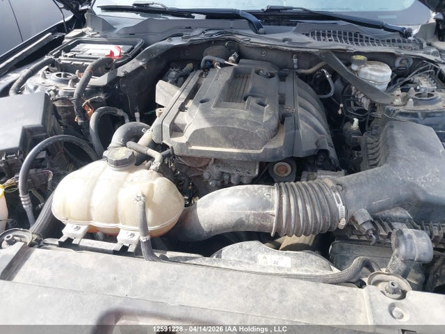 1FATP8UH4H5321616 Ford Mustang Ecoboost Premium
