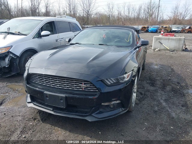 1FATP8UH4H5321616 Ford Mustang Ecoboost Premium