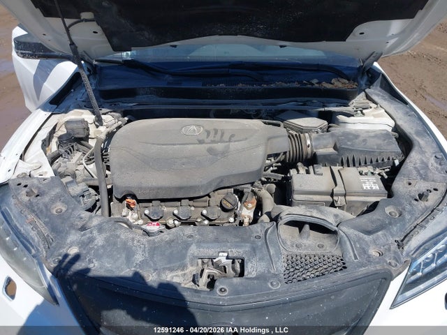 19UUB3F73HA800543 Acura TLX