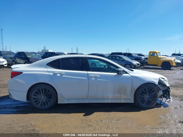 19UUB3F73HA800543 Acura TLX