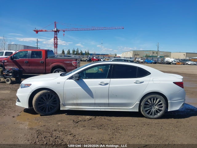 19UUB3F73HA800543 Acura TLX