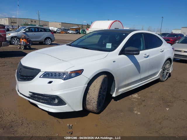 19UUB3F73HA800543 Acura TLX