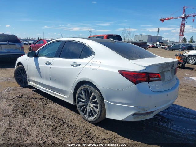 19UUB3F73HA800543 Acura TLX
