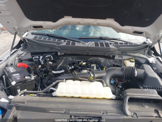 Продаж на аукціоні авто 2024 Ford F-150 Xlt, vin: 1FTEW3LP9RKE77977, номер лоту: 12508792